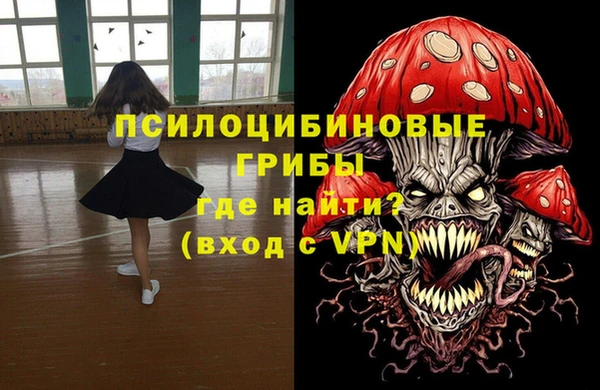 шишки Алексеевка