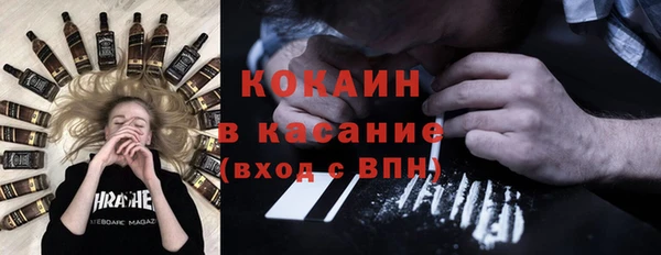 шишки Алексеевка