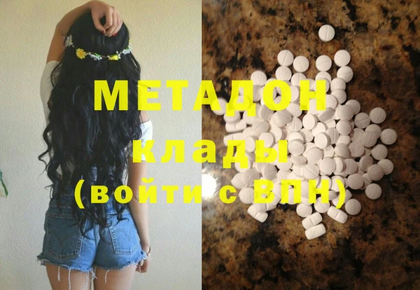 прущие грибы Алзамай