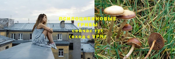 шишки Алексеевка