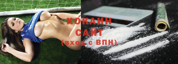 прущие грибы Алзамай