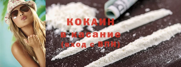 прущие грибы Алзамай
