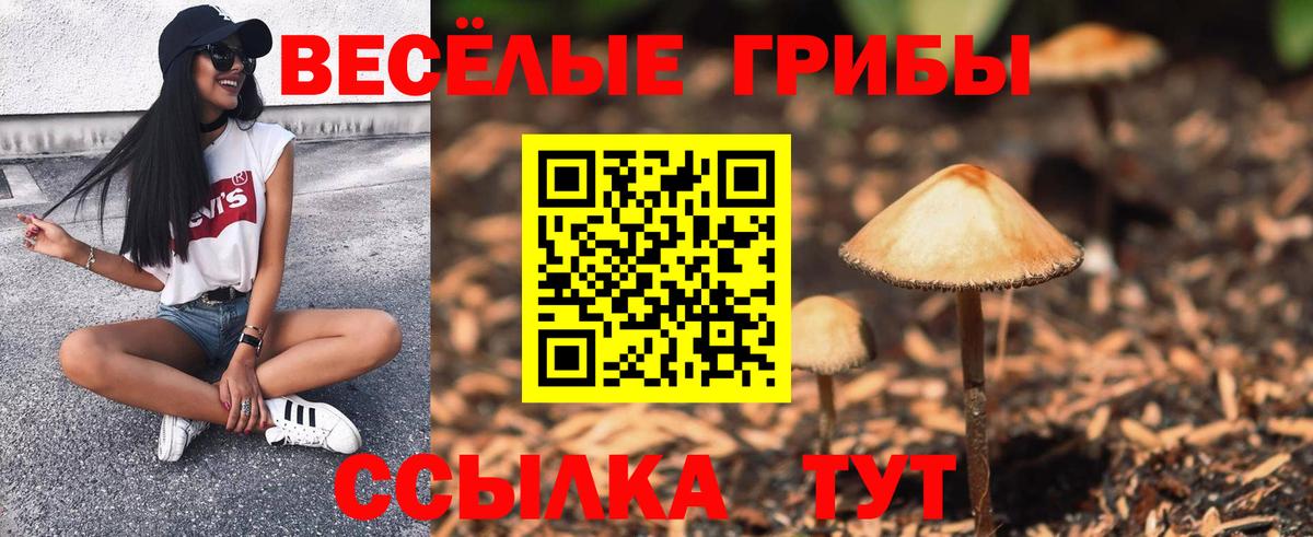 Галлюциногенные грибы Cubensis  Вход с VPN  Осинники 