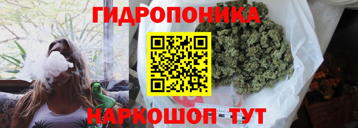 Конопля планчик Осинники